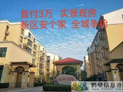 首付3萬，新區(qū)安個(gè)家